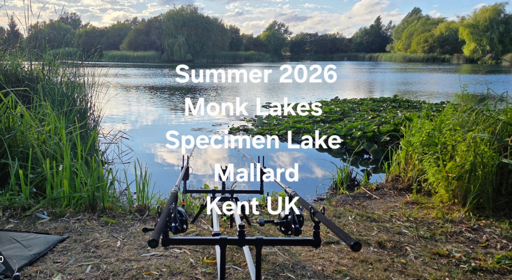 Summer 2026 Monk Lakes, Specimen Lake (Mallard), Kent&nbsp;UK